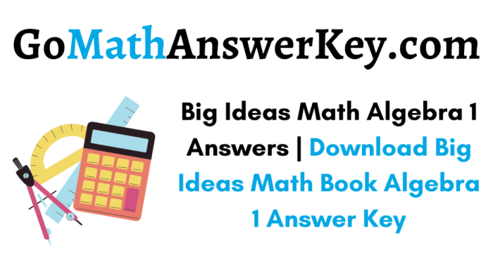 Big ideas math book algebra 1