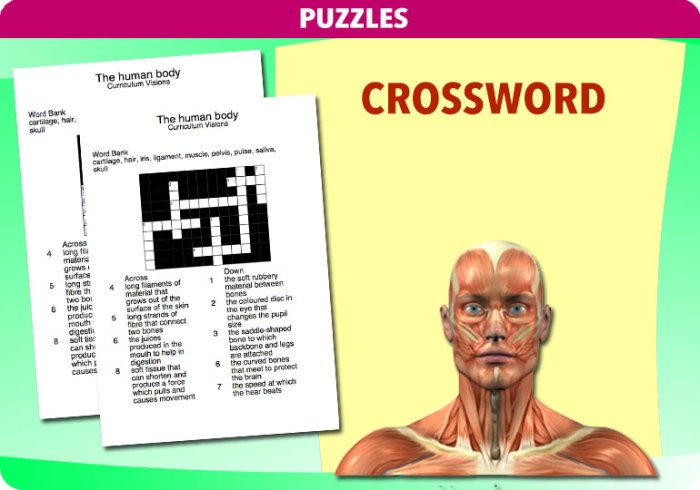 Our bodies need 20+ crossword