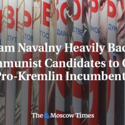 How did stalin ensure that communist candidates won free elections